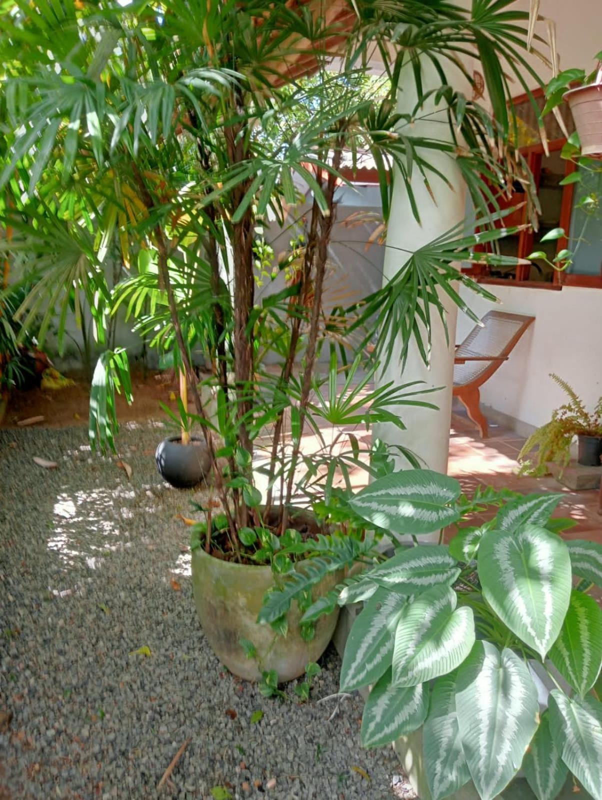 New Villa Unawatuna Eksteriør bilde